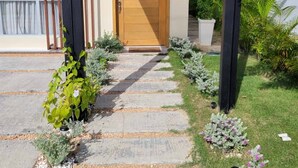 Una casa moderna amb una porta de fusta, un camí de pedra i un jardí amb diferents plantes.