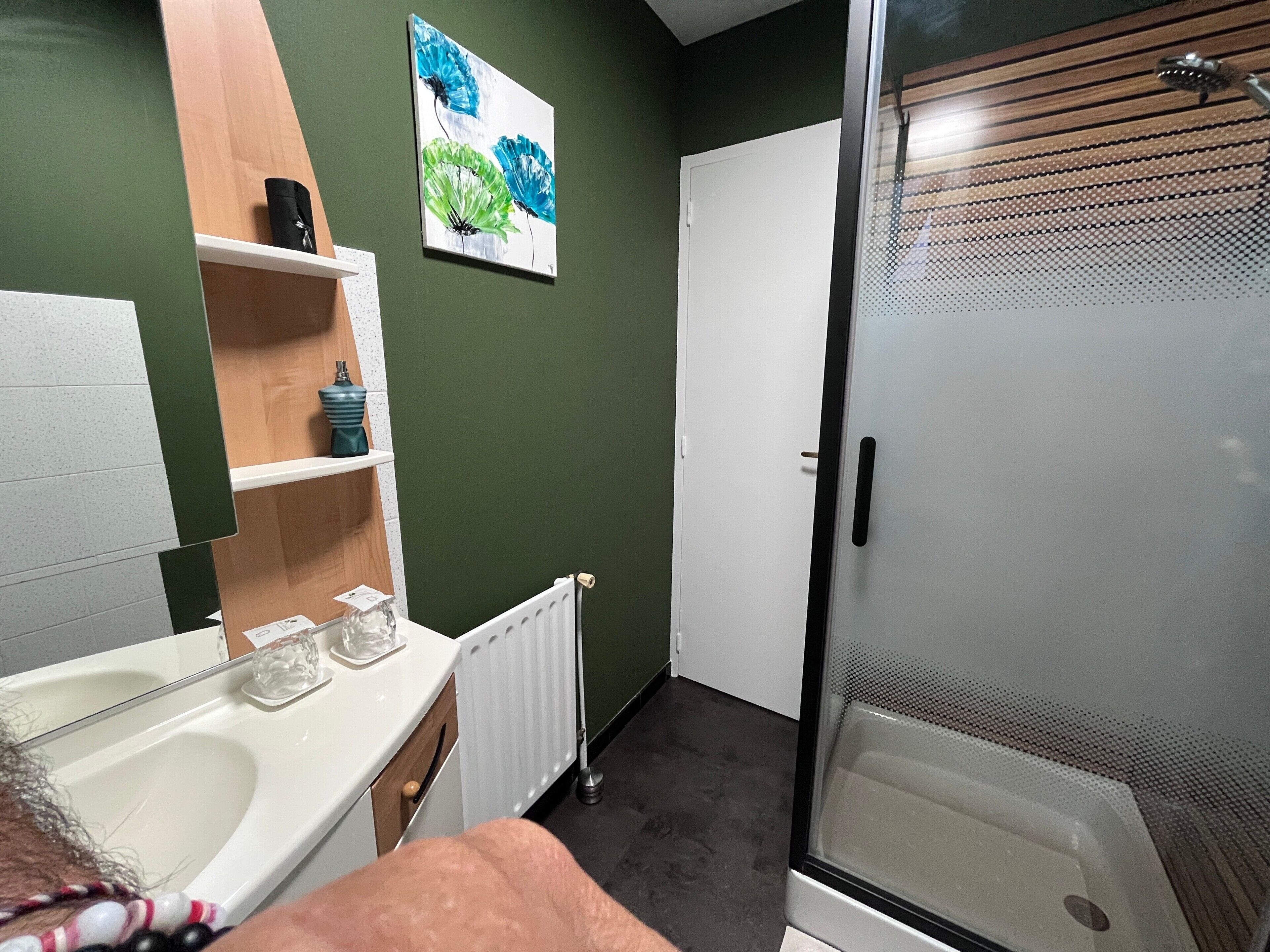 Een badkamer met een douche, een wastafel en een spiegel.
