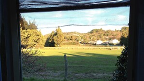 Vista a través de una ventana: un campo con césped, una cerca, árboles y un edificio a lo lejos.