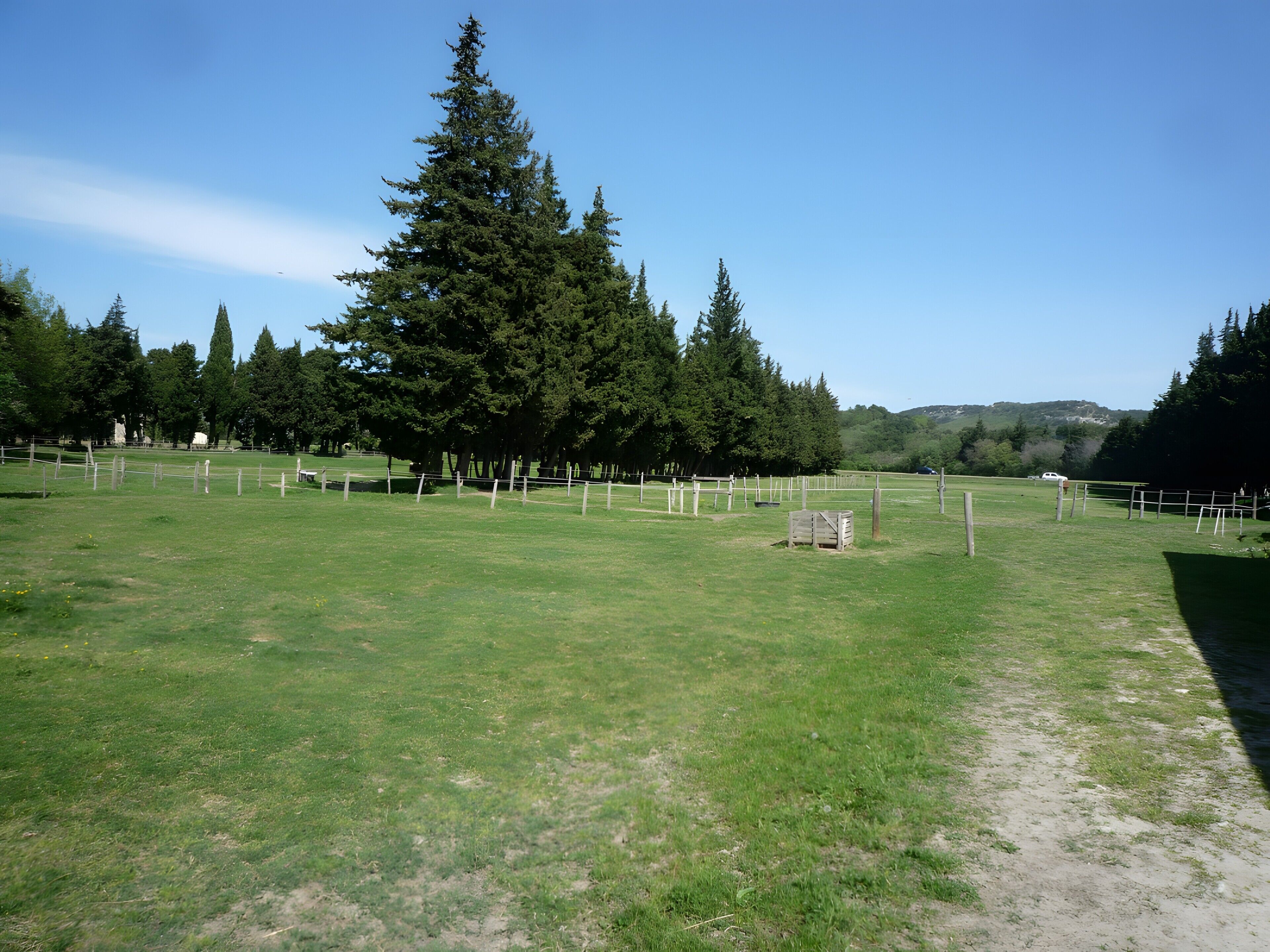 A grassy field with a wooden fence, trees, and a clear sky.