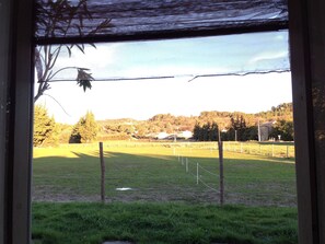 Cancha deportiva