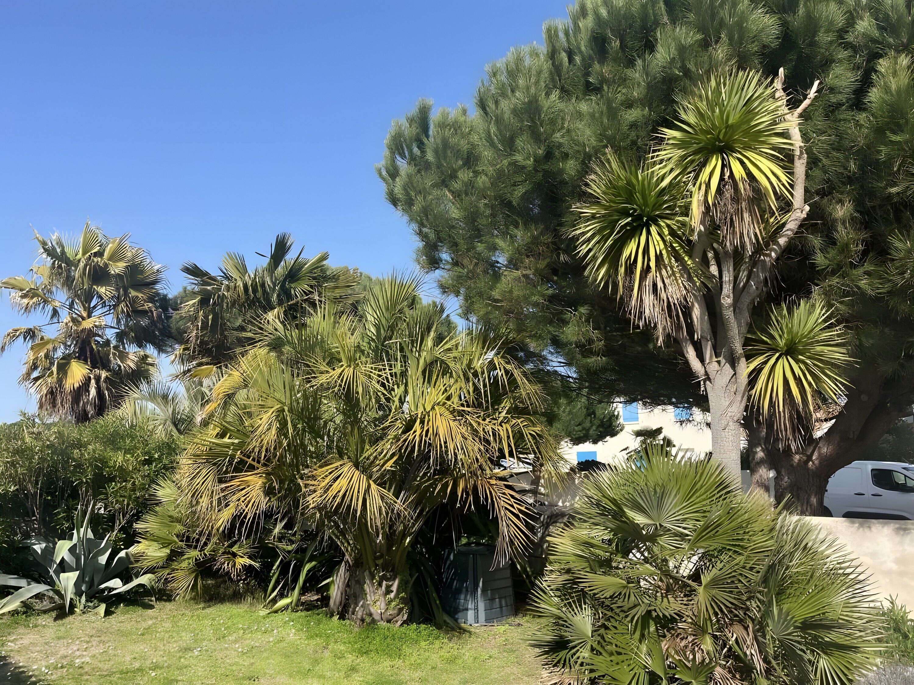 Áreas de la propiedad