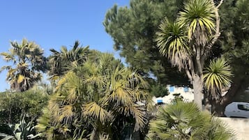 Overnatningsstedets område