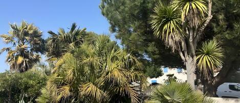 Áreas de la propiedad