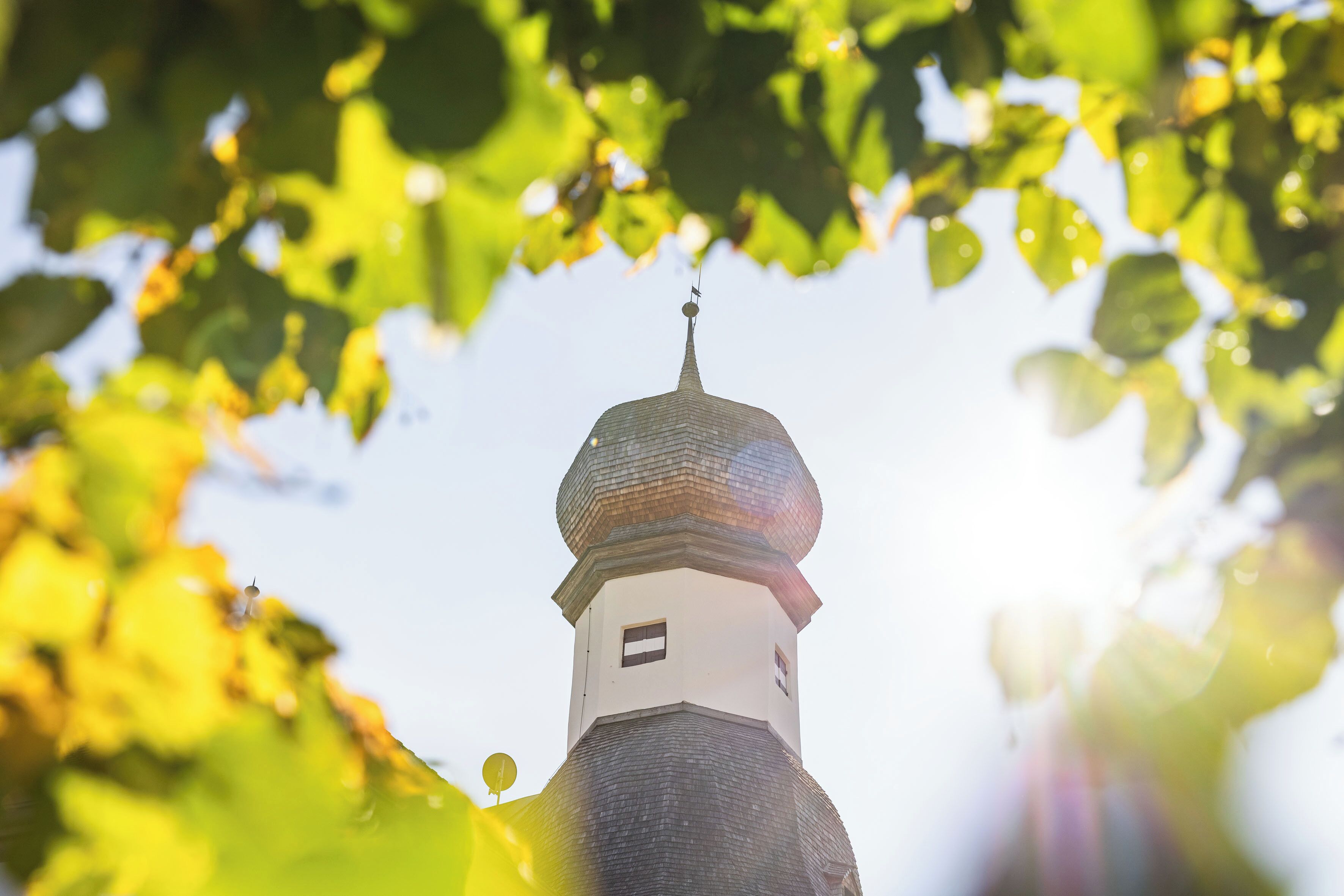 A church tower with a dome and a cross on top, surrounded by foliage.