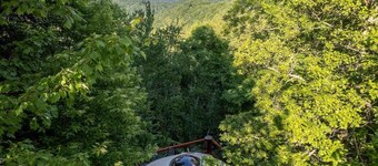 Holly Hideaway | Cozy Yurt | Pet Friendly & Trails