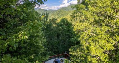 Holly Hideaway | Cozy Yurt | Pet Friendly & Trails