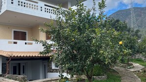 Um edifício de dois andares com telhado de telhas, um caminho de pedra e uma árvore com frutos.