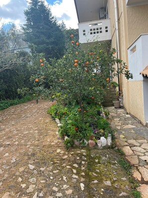 Property grounds - A modern farmhouse with big garden (56FJ+8P8 Trapeza)