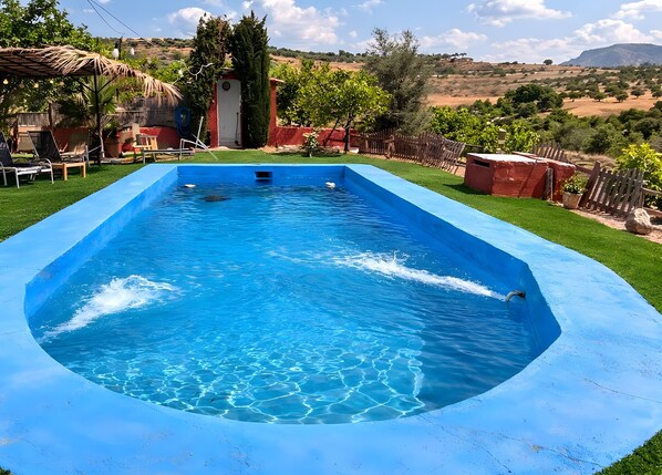 Immagine non classificata, 1 di 13, pulsante