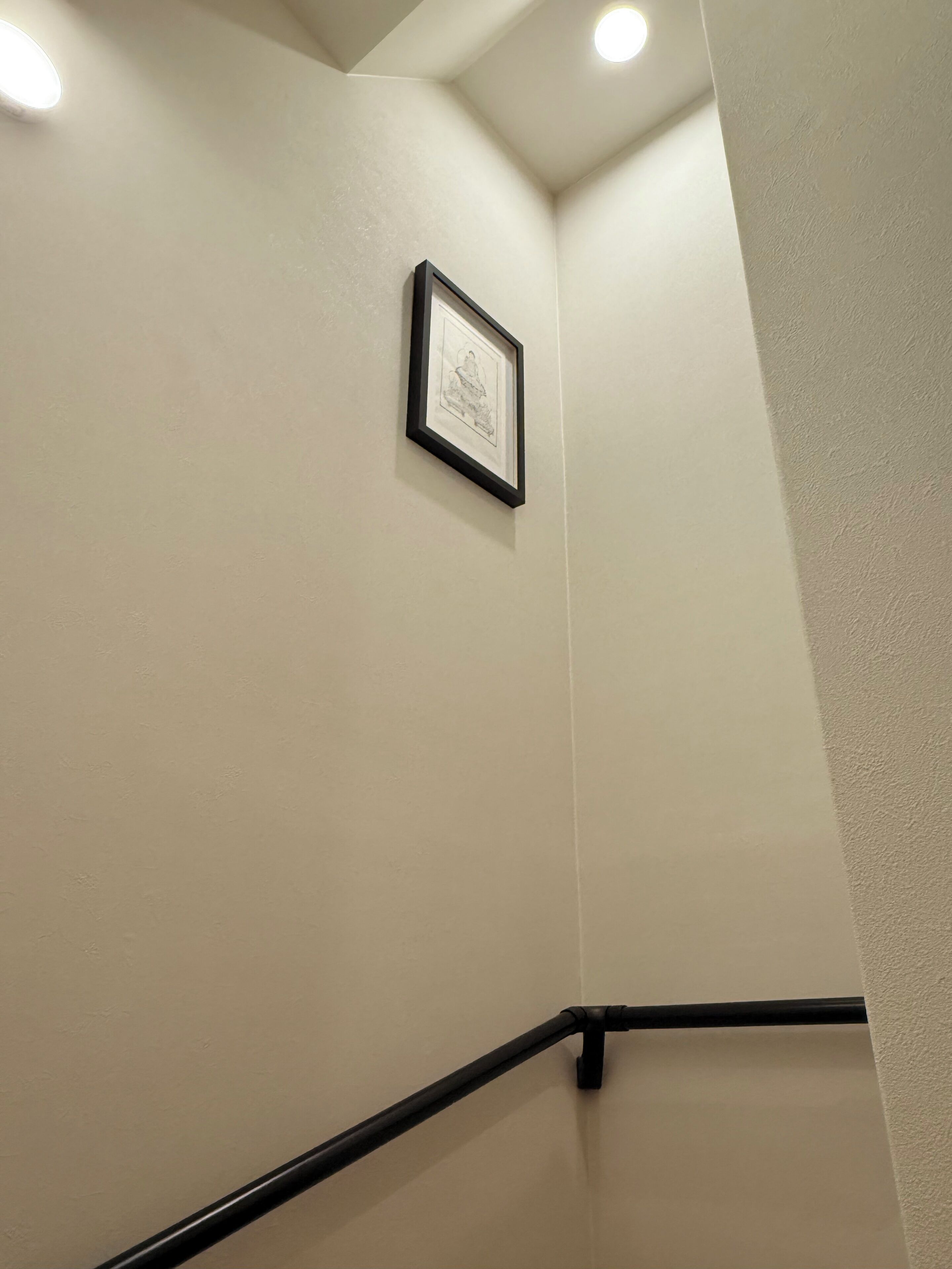 Un angolo di stanza con un quadro appeso al muro, una ringhiera nera e una luce a soffitto.