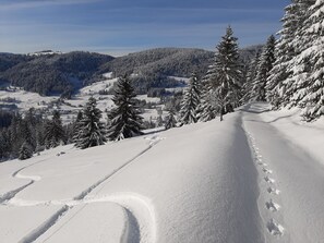 Immagine non classificata, 5 di 31, pulsante