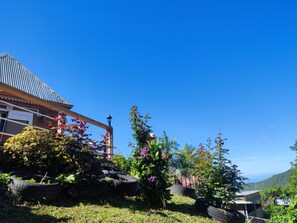 Property grounds - Panoramic view - Calm and serenity - Le Lys des Makes (Saint-Louis)