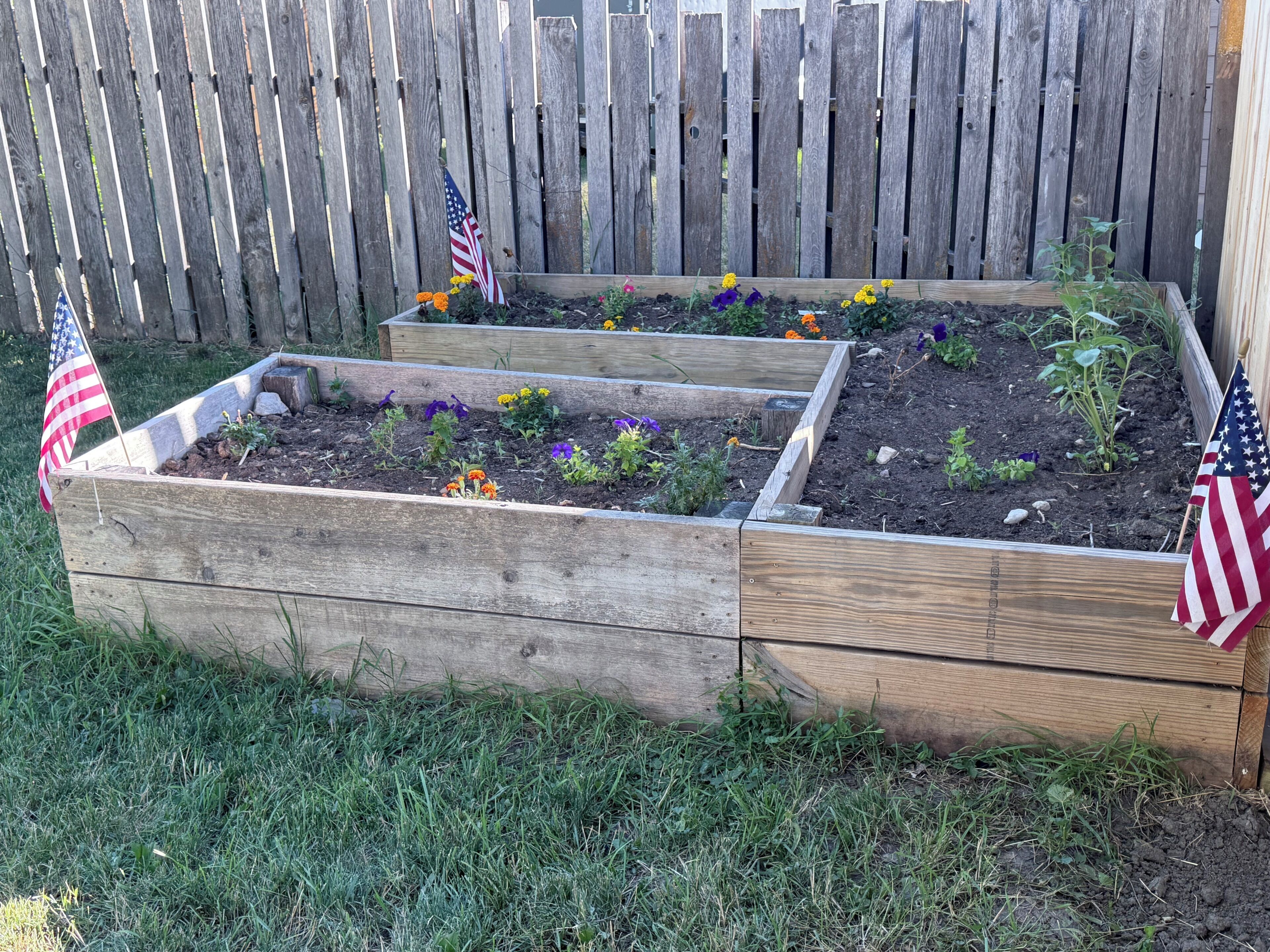 Raised garden beds with American flags, wooden borders, and grass in front.