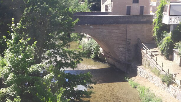 Een stenen brug over een rivier, omringd door groen en gebouwen.