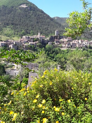 Botón de imagen sin clasificar, 4 de 21