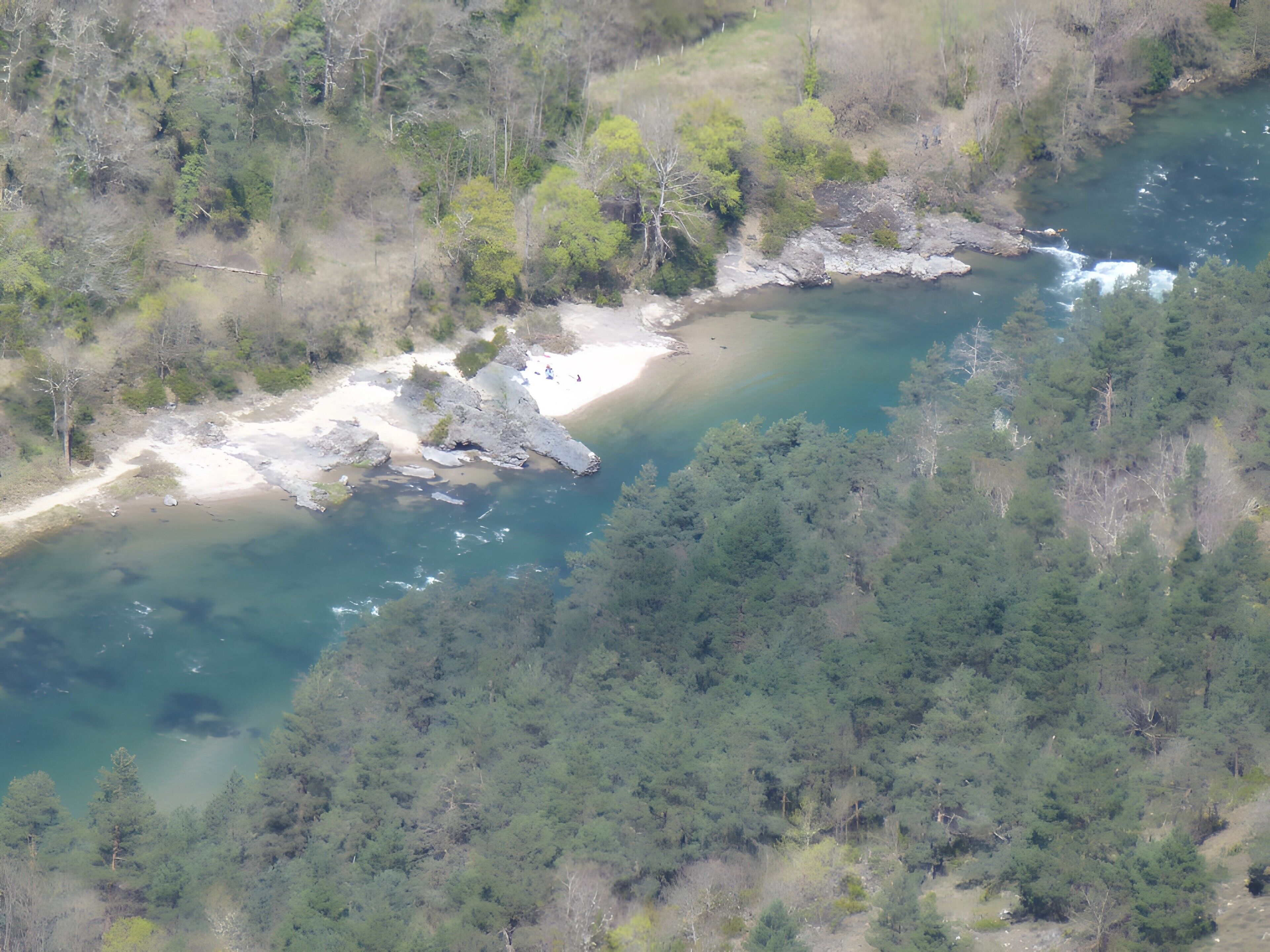 Un río con una playa arenosa y un bosque denso.