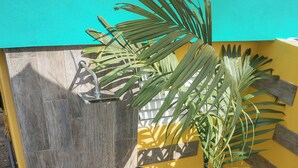 Iemand in een badpak staat in een douchegedeelte met betegelde vloer, omringd door planten en een gele wand.