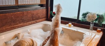 🌲 Cabaña Del Roble • Private Jacuzzi & Fireplace • 30 min from SJO Airport