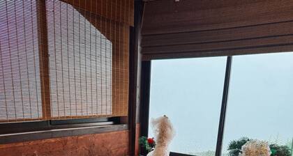 🌲 Cabaña Del Roble • Private Jacuzzi & Fireplace • 30 min from SJO Airport