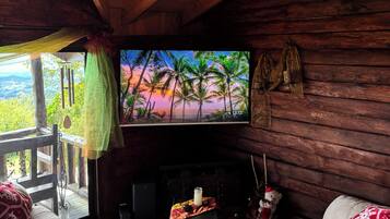 Smart TV, chimenea y estéreo