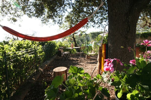 Uklassifisert bilde, 1 av 16, knapp