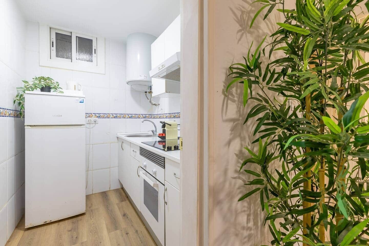 Fridge, oven, stovetop, cookware/dishes/utensils