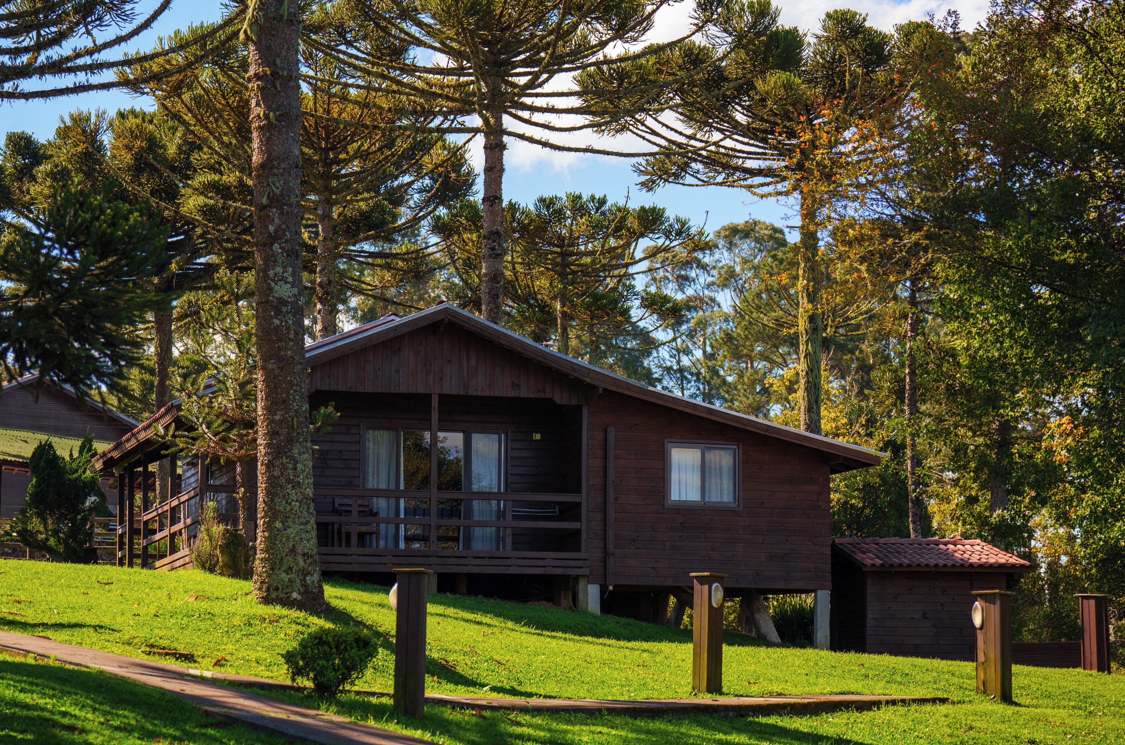 Een houten chalet met een veranda, omgeven door bomen en een gazon.