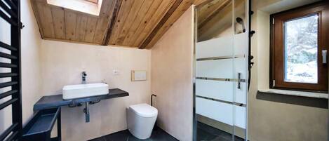 Shower, hair dryer, bidet
