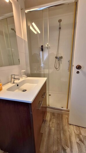 Regadera, secadora de cabello, toallas, papel de baño 