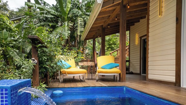 A pool with two yellow chairs, surrounded by lush greenery.