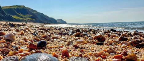 平房 | 海灘 | 鄰近海灘