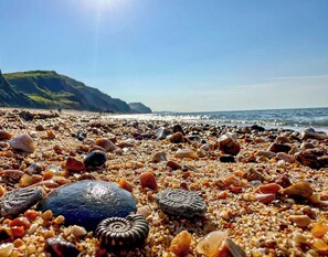 Una playa cerca