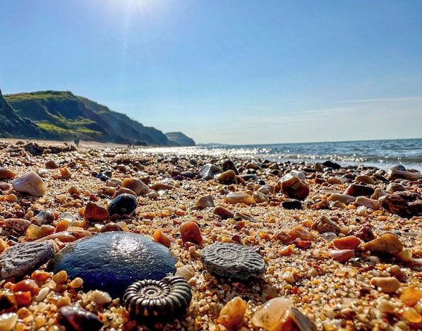 Cottage | Beach | Beach nearby - Bridge Cottage (Bridport)