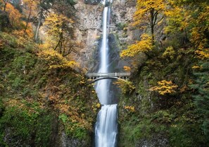 Ein Wasserfall mit einer Brücke, umgeben von Herbstlaub.