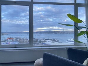 Interior - Bosphorus View 3BR in Kabataş (Istanbul)