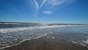 Ein Strand mit blauem Himmel und strahlender Sonne.