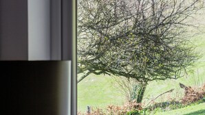Ein Fenster mit Blick auf eine grüne Landschaft und einen Baum.