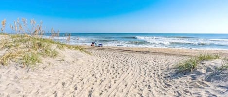Strand