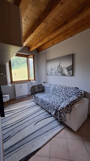 A living room with a zebra-patterned sofa, a radiator, a window with a view of greenery, and a cityscape painting on the wall. - House of the stars (Lombardia)