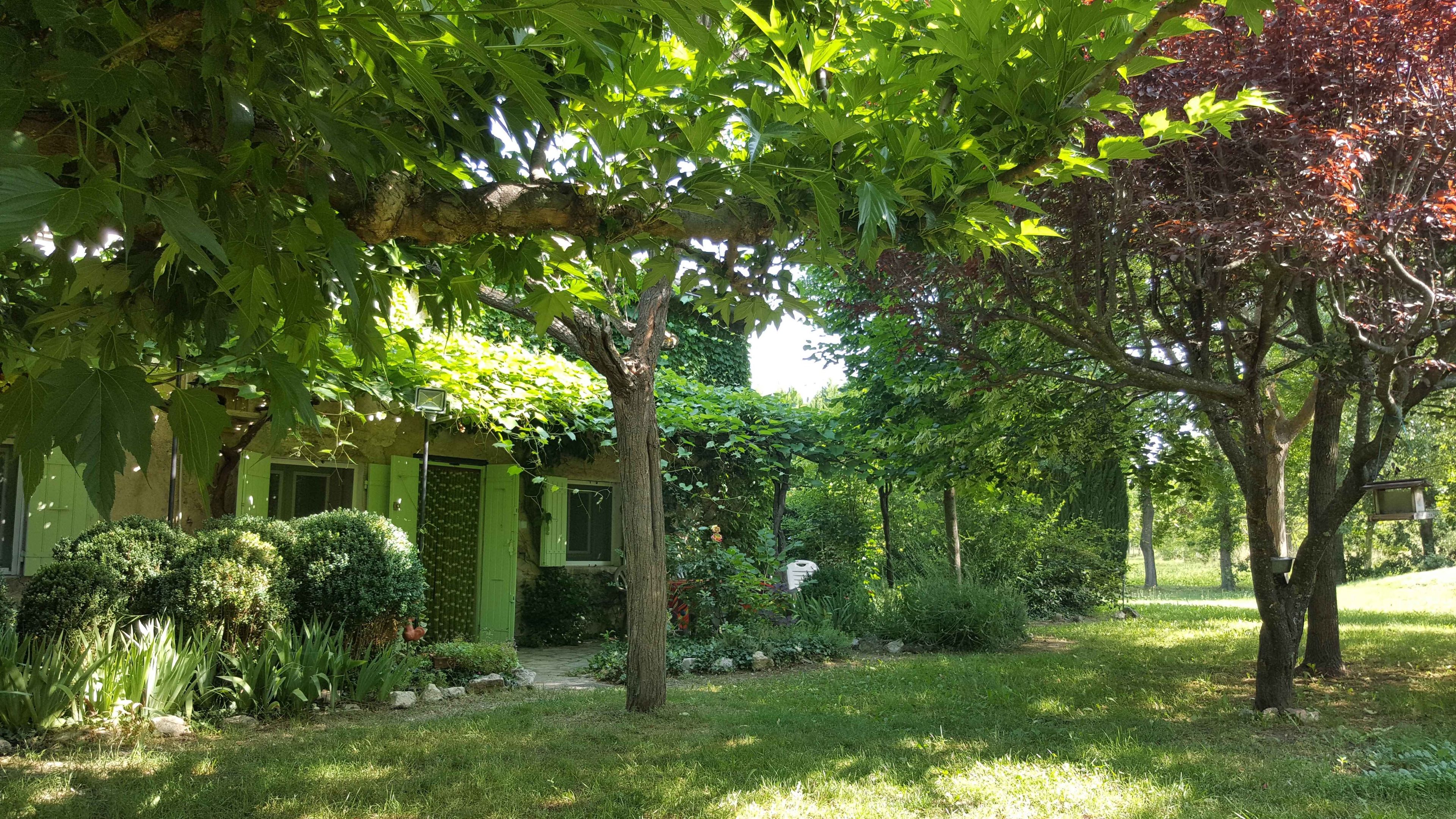 Un exuberante jardín con diversas plantas y árboles, un camino que lleva a un edificio con contraventanas verdes, y un comedero para pájaros en un árbol.