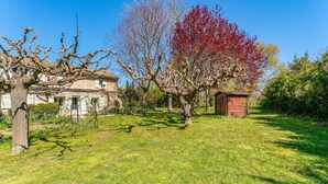 Un quartier résidentiel avec une maison, un arbre aux feuilles rouges et un petit abri de jardin.
