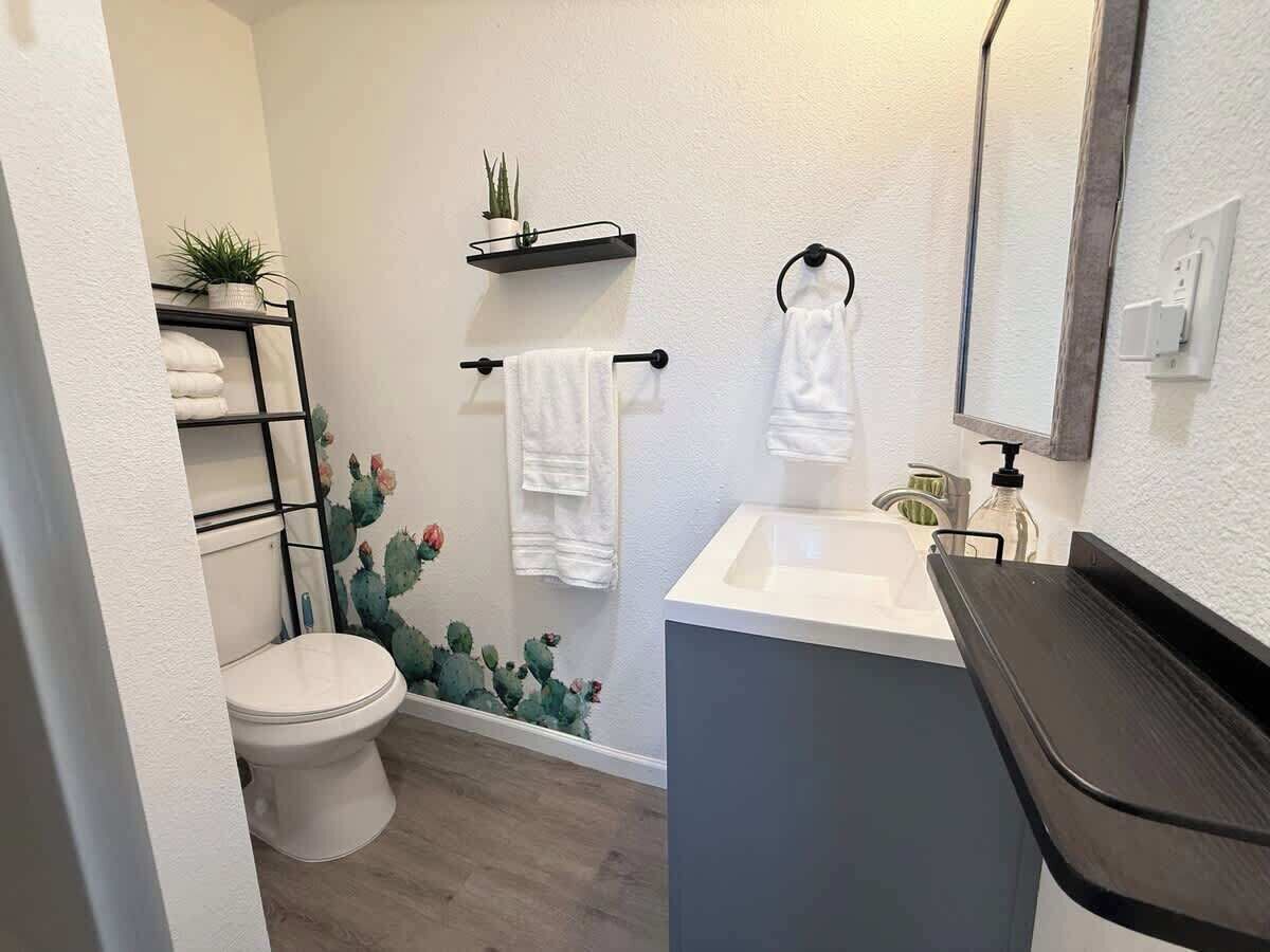 Shower, hair dryer, shampoo
