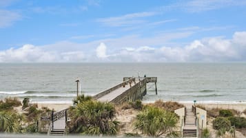 A wooden pier extending into the ocean with a gate at the end, surrounded by beach vegetation.