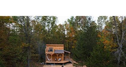 Addys cabin in the trees