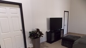 A room with a closed door, a potted plant, a television on a stand, and a couch. - La Sierra Departamento#3 P/4 personas 2 Recamaras (Juárez)
