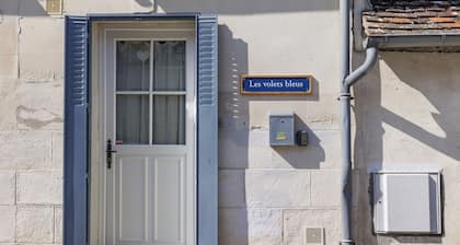 Gite Cocon et Balnéo, proche zoo de beauval et chùteaux