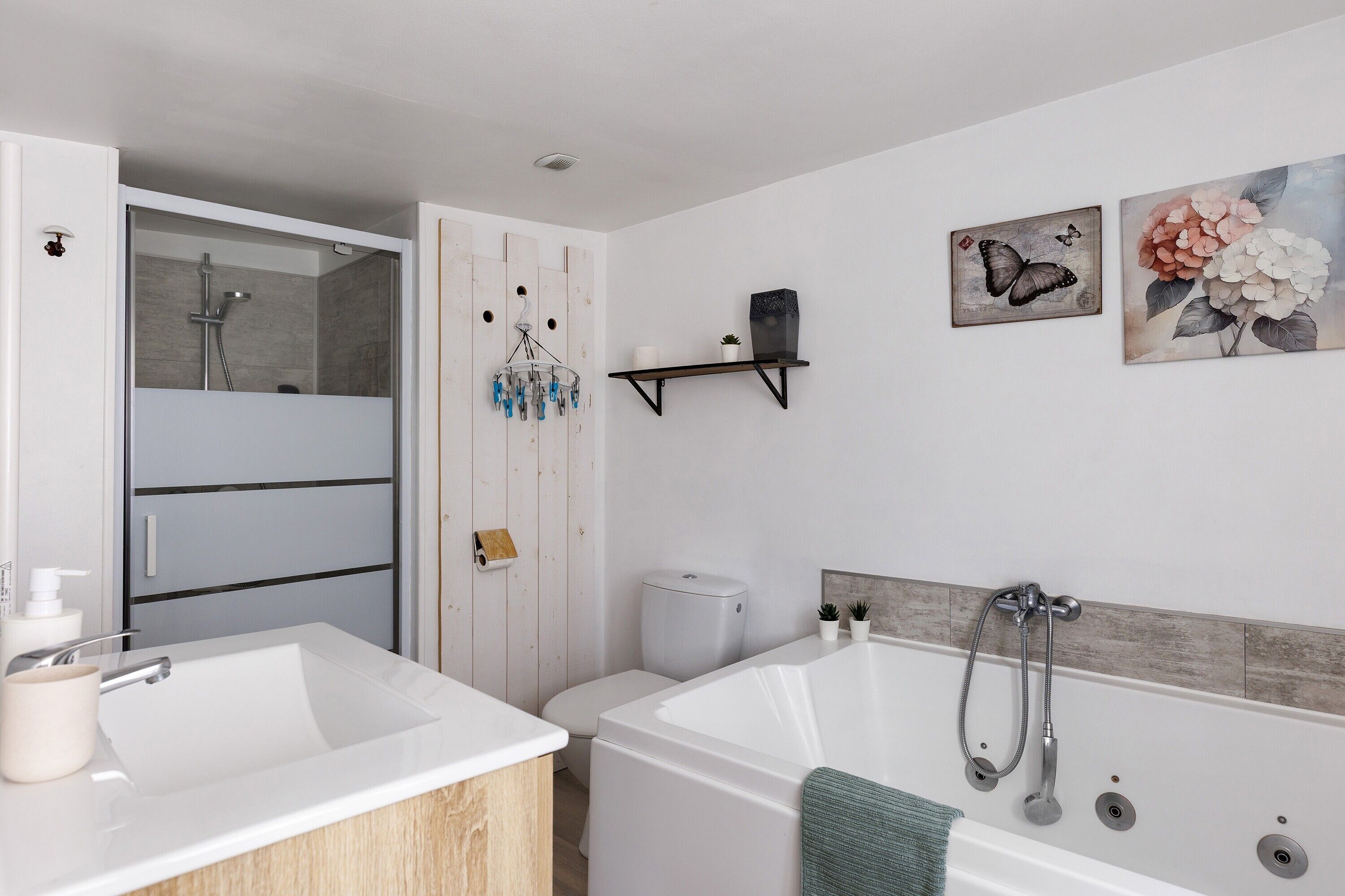 Shower, hair dryer, towels