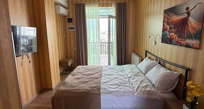 Tbilisi Airport Panorama