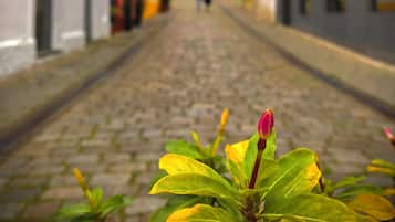 Land view from property